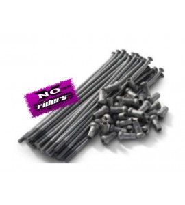 Raggi Ruota Completi BETA RR 2T - 4T