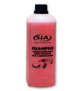 Big-13-v29  Shampoo