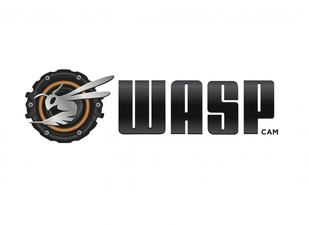 Wasp Cam 
